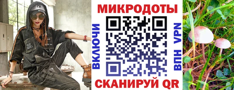 купить наркотик  Кувшиново  Галлюциногенные грибы GOLDEN TEACHER 